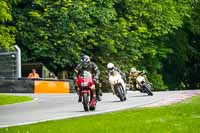 cadwell-no-limits-trackday;cadwell-park;cadwell-park-photographs;cadwell-trackday-photographs;enduro-digital-images;event-digital-images;eventdigitalimages;no-limits-trackdays;peter-wileman-photography;racing-digital-images;trackday-digital-images;trackday-photos